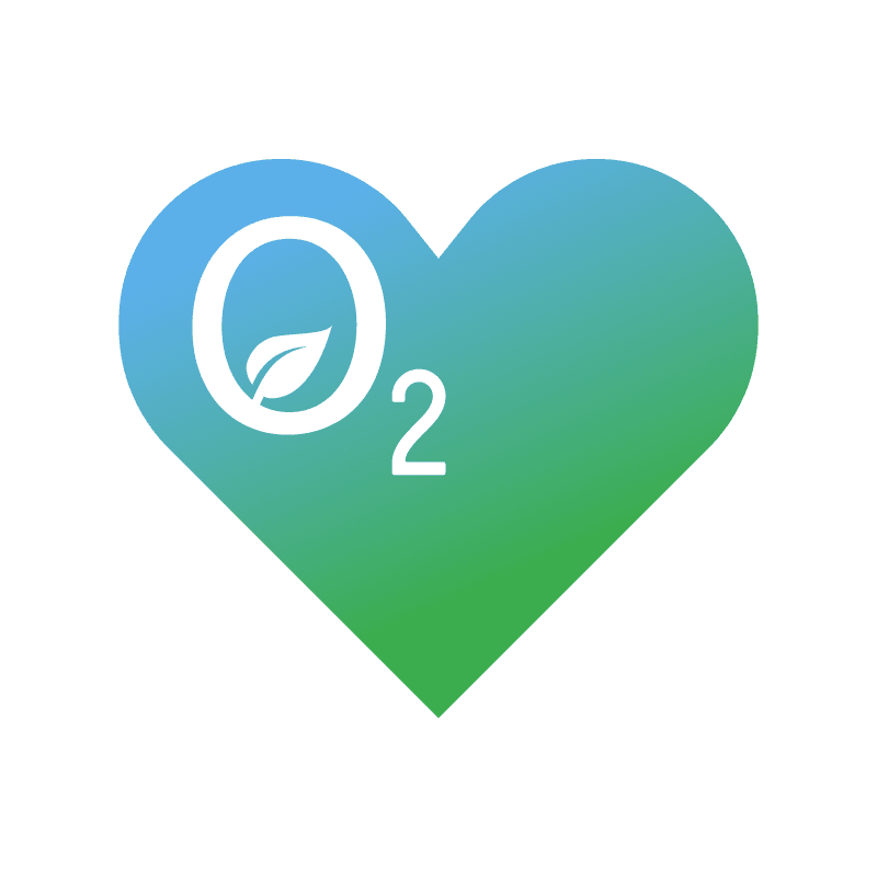 Founders of Oxigen Pentru Viata